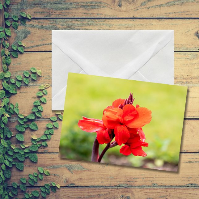 Red Lily Note Card (Creator Uploaded)