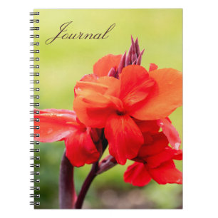 Red Lily Notebook 