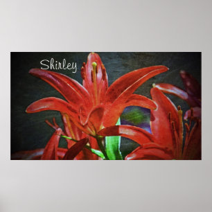 Red Lily-Textured by Shirley Taylor Poster