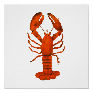 Red Lobster Poster