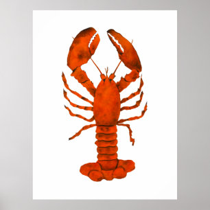 Red Lobster  Poster