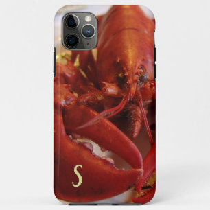 Red Lobster Seafood Crustacean iPhone / iPad case