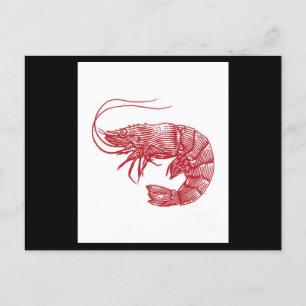 Red Lobster Shrimp Postcard