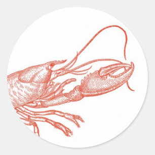 Red Lobster Sticker