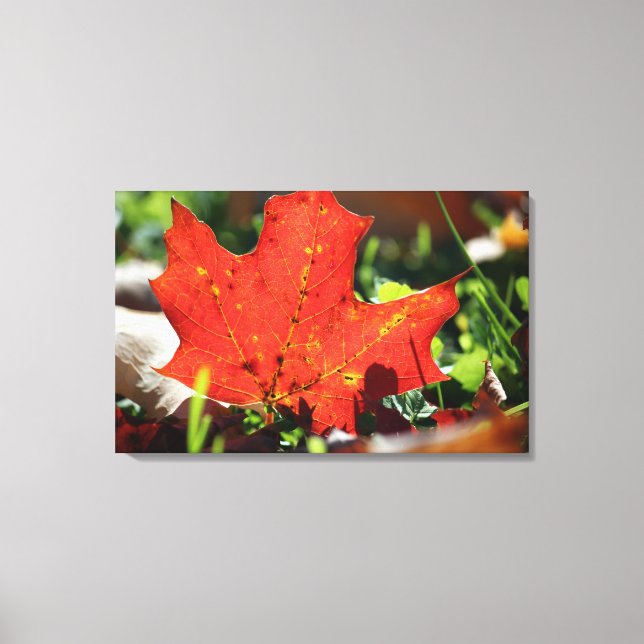 Red Lonely Canvas Print (Front)