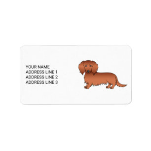 Red Long Hair Dachshund Cute Cartoon Dog & Text Label