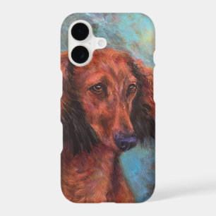 Red long haired dachshund