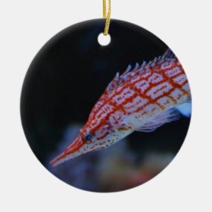 Red Longnose Hawkfish Ceramic Tree Decoration