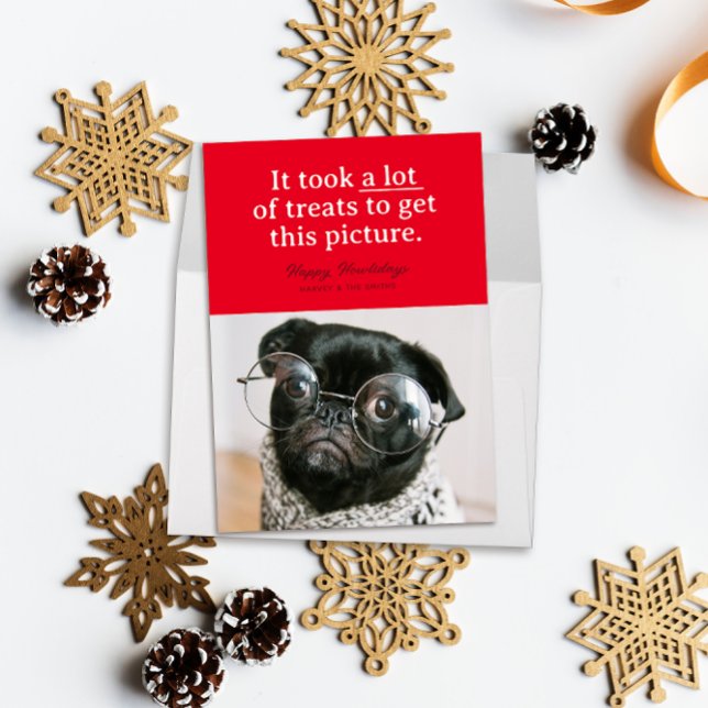 Red Lots of Treats Happy Howlidays Funny Pet Holiday Card (Funny pet photo holiday card reads "it took a lot of treats to get this picture" on a block of red)