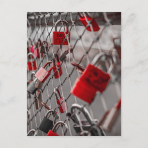 Red Love Padlocks Postcard