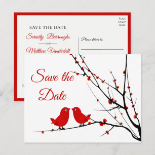Red Lovebirds Spring Summer Save the Date Announcement Postcard