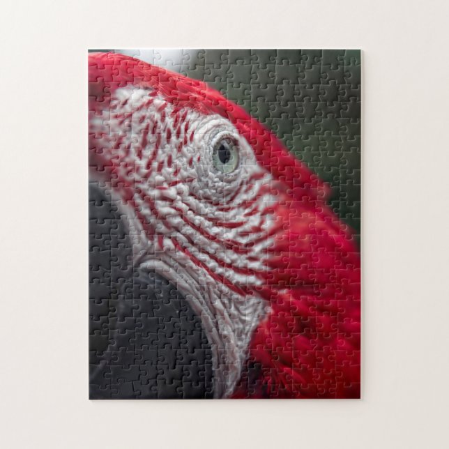 Red Macaw - HD Photo Puzzle (Vertical)