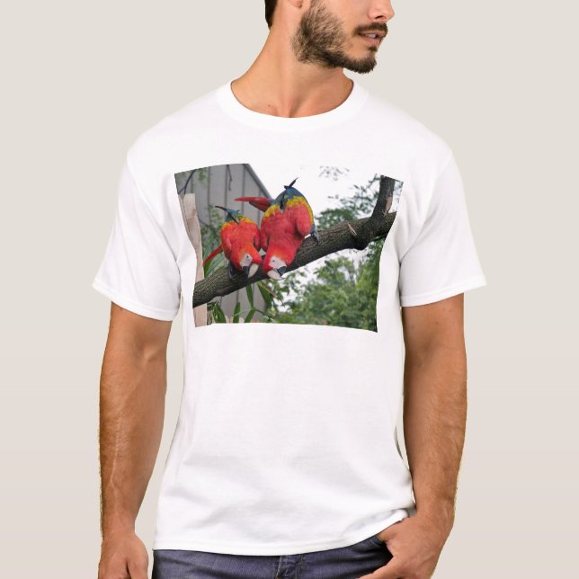Red Macaws 1.JPG T-Shirt (Front)