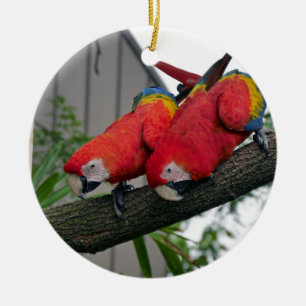 Red Macaws 2.JPG Ceramic Tree Decoration