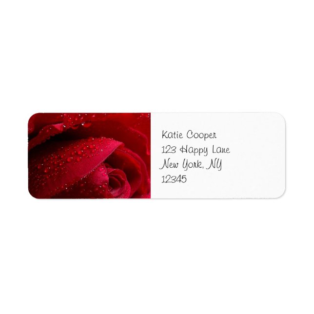 Red Macro Rose with Water Droplets (Front)