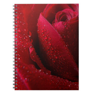 Red Macro Rose with Water Droplets Spiral Notebook