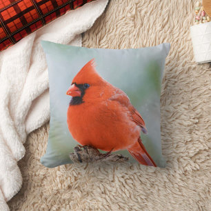 Red Male Cardinal Bird in Snow Nature Photo  Cushion