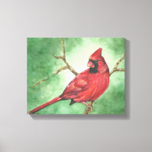 Red Male Cardinal canvas print