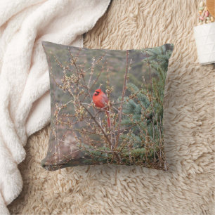 Red Male Cardinal on Forsythia Hedges Throw Pillow