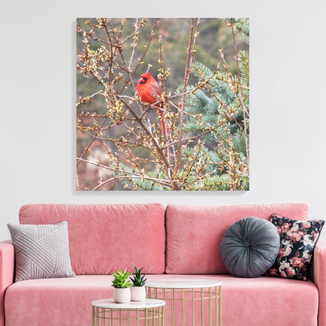Red Male Cardinal Perched on Hedges Canvas Print (Insitu(LivingRoom))