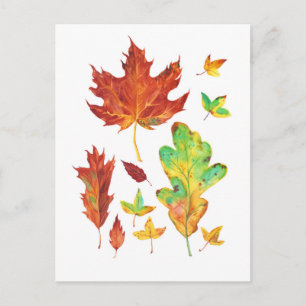 Red Maple and Golden Oak Leaves Watercolor Postcard