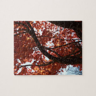 Red Maple Branches Autumn Colours Jigsaw Puzzle