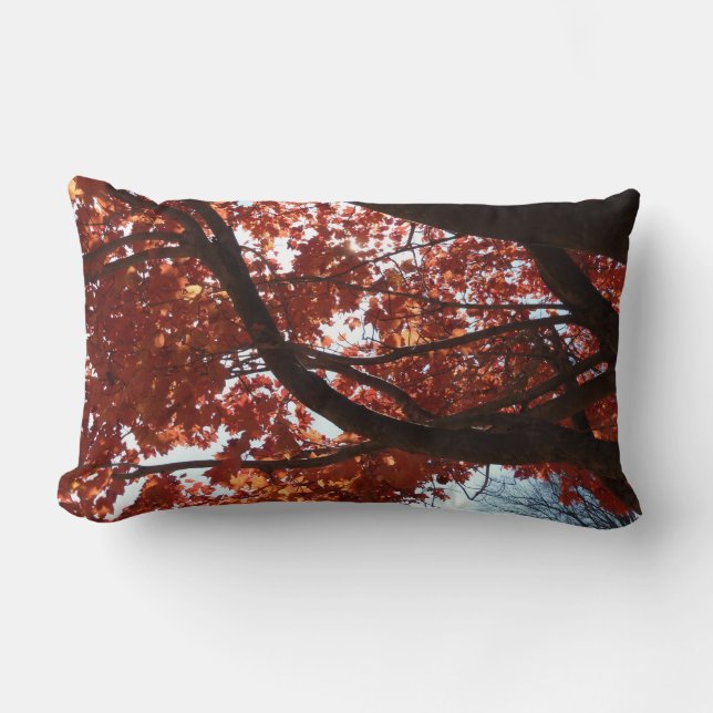 Red Maple Branches Autumn Colours Lumbar Cushion (Front)