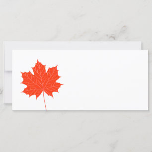 Red maple leaf