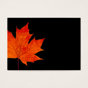 Red maple leaf