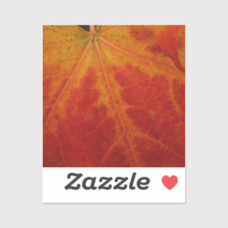 Red Maple Leaf Abstract Autumn Nature Photography