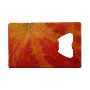Red Maple Leaf Abstract Autumn Nature Photography
