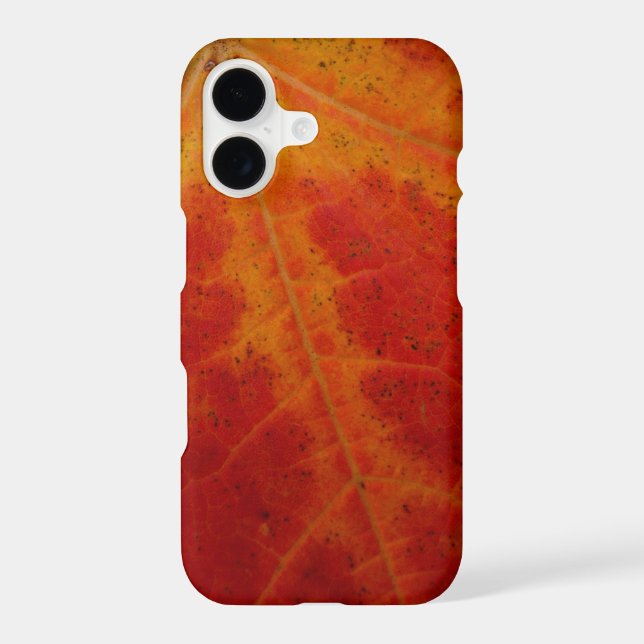 Red Maple Leaf Abstract Autumn Nature Photography (Back)
