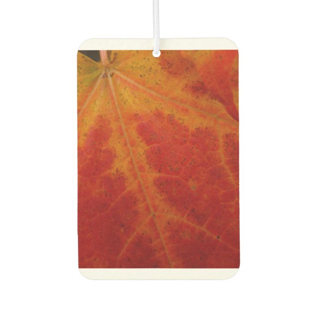Red Maple Leaf Abstract Autumn Nature Photography Car Air Freshener (Front)