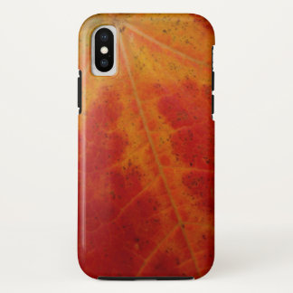 Red Maple Leaf Abstract Autumn Nature Photography Case-Mate iPhone Case