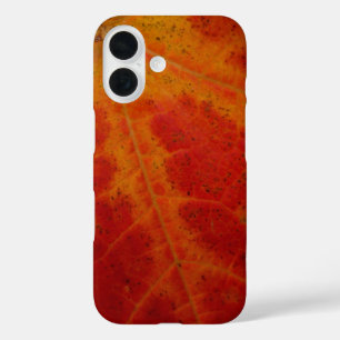 Red Maple Leaf Abstract Autumn Nature Photography iPhone 16 Case