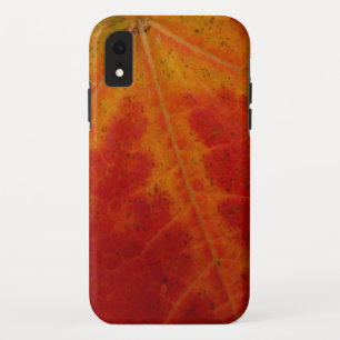 Red Maple Leaf Abstract Autumn Nature Photography Case-Mate iPhone Case