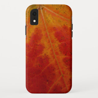 Red Maple Leaf Abstract Autumn Nature Photography Case-Mate iPhone Case