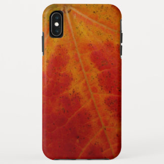 Red Maple Leaf Abstract Autumn Nature Photography Case-Mate iPhone Case