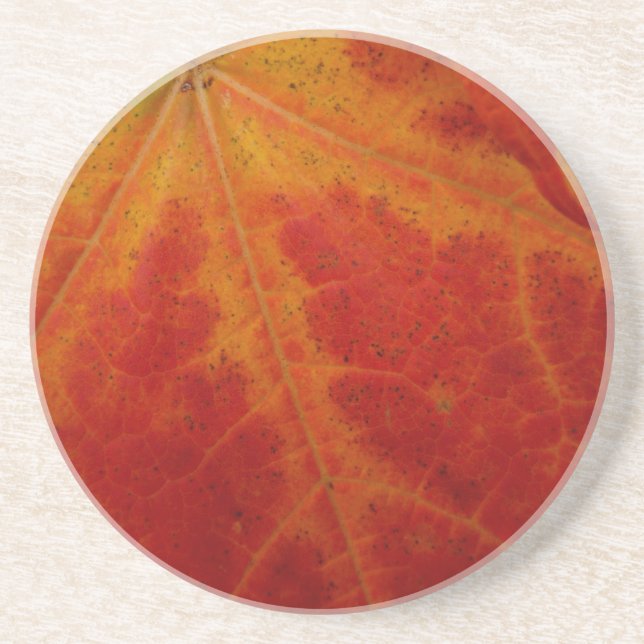 Red Maple Leaf Abstract Autumn Nature Photography Coaster (Front)