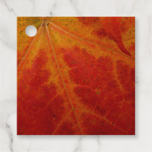 Red Maple Leaf Abstract Autumn Nature Photography Favour Tags
