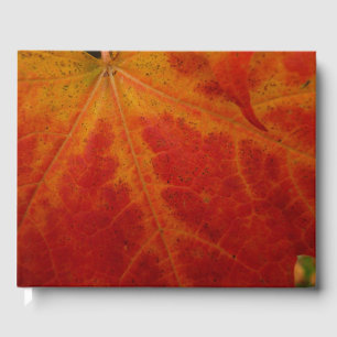 Red Maple Leaf Abstract Autumn Nature Photography Guest Book