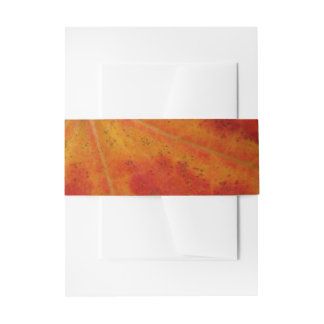 Red Maple Leaf Abstract Autumn Nature Photography Invitation Belly Band
