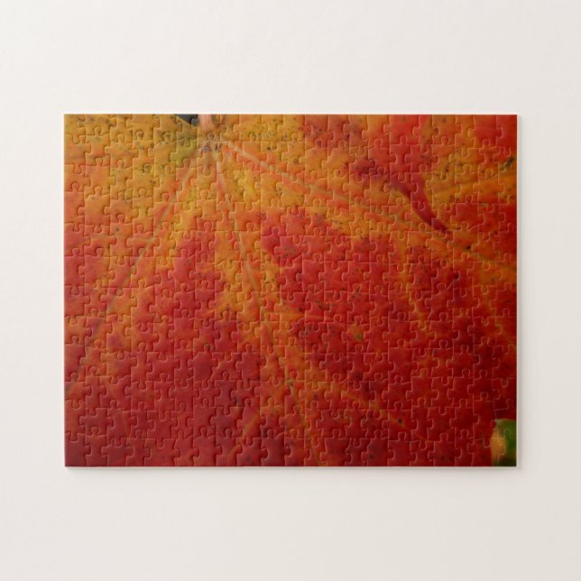 Red Maple Leaf Abstract Autumn Nature Photography Jigsaw Puzzle (Horizontal)