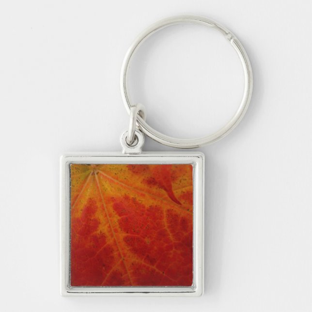 Red Maple Leaf Abstract Autumn Nature Photography Key Ring (Front)