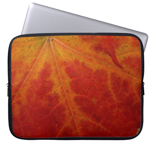 Red Maple Leaf Abstract Autumn Nature Photography Laptop Sleeve (Front)