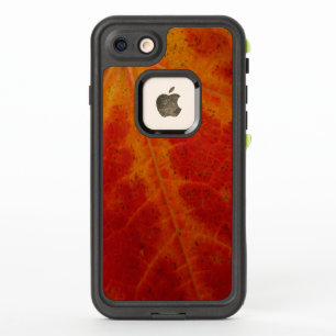 Red Maple Leaf Abstract Autumn Nature Photography