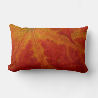 Red Maple Leaf Abstract Autumn Nature Photography Lumbar Cushion