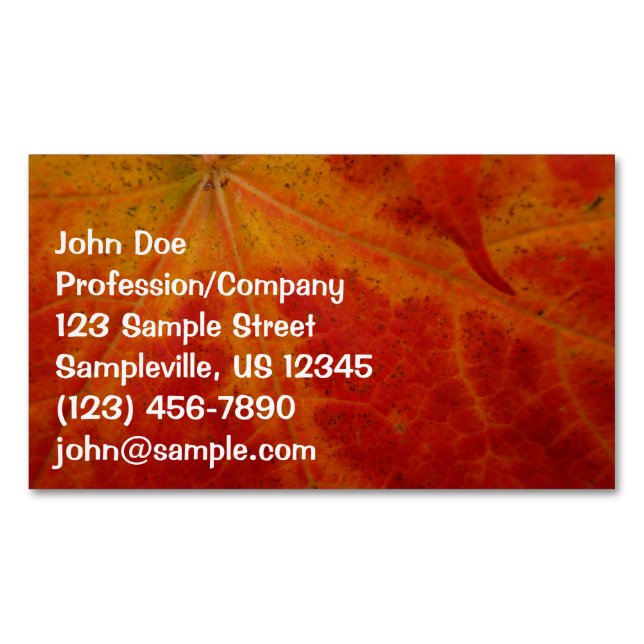 Red Maple Leaf Abstract Autumn Nature Photography Magnetic Business Card (Front)