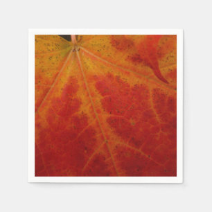 Red Maple Leaf Abstract Autumn Nature Photography Napkin