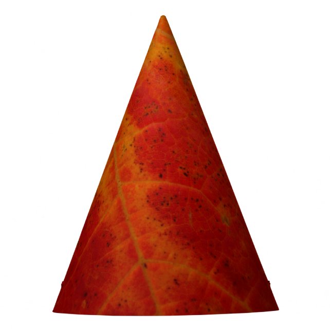 Red Maple Leaf Abstract Autumn Nature Photography Party Hat (Front)